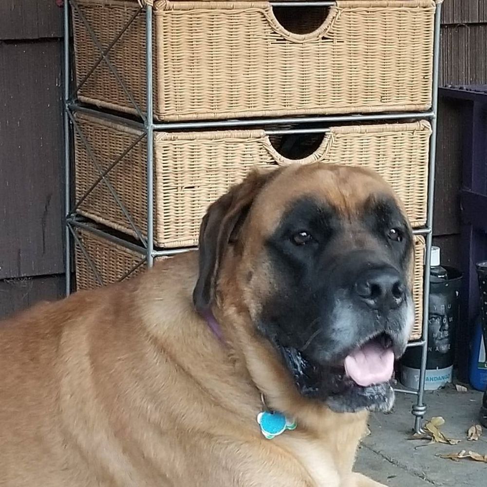 Meet your Posher, Hayley